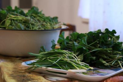 green leaves on white ceramic bowl